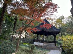 -上海醉白池公园