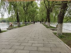 -北陵公园