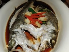 -绿茶餐厅(财富购物中心店)