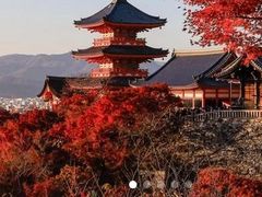 -学习谷日语培训日本留学·多语种外语教学(西单宣武分部)
