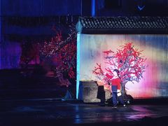 -婺源梦里老家大型山水实景演出