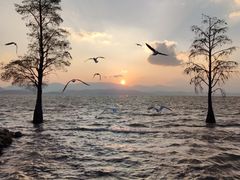-大理洱海