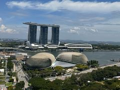 -新加坡瑞士史丹福酒店