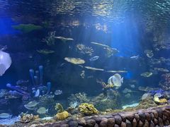 -华夏文旅海洋公园