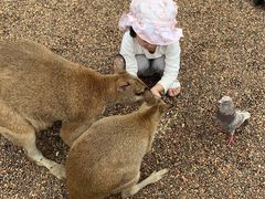 -费瑟代尔野生动物园