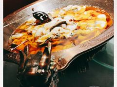 -雲蜀龙阁·金牌水煮鱼(方庄店)