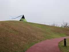 -春花秋色城市公园