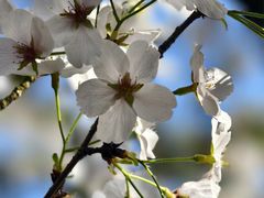 -杭州城北体育公园