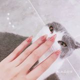 东莞美甲｜延长甲坚固才是王道‼️