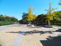 -永定河休闲森林公园