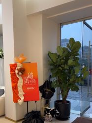 -WENDY·温迪皮肤管理