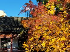 -碑林公园