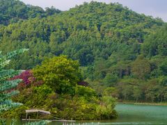 -广州白江湖森林公园