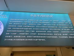 -丰登陕西水盆牛羊肉·泡馍