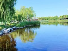 -西海子公园