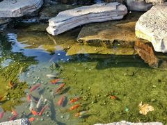 -羊亭河湿地公园