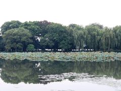 -西湖游船