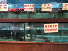 水产区-金龙渔港(双楠店)