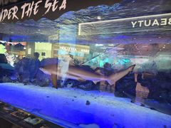 -凯德广场(学府店)