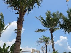 -精酿农场Brew Farm·沙漠绿洲餐厅