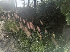 -郑东新区湿地公园