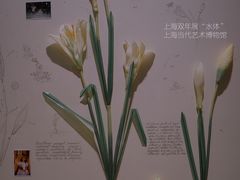 -上海当代艺术博物馆