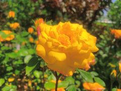 -渭南桃花源民俗文化园