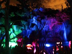 -奥兰多迪士尼动物王国乐园