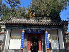 -泰山风景名胜区-普照寺