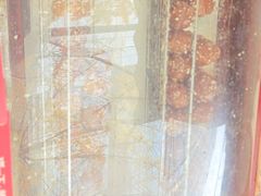 -邓记新一代糖油果子(四川煤管局供销公司职工宿舍店)