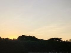 -番禺大夫山森林公园