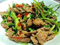 香菜炒牛肉-壹盏灯(惠农店)