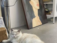 -Northand Coffee(来福士店)