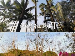 -深圳仙湖植物园