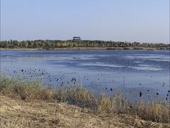 -天津东丽湖风景区