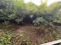 -天目湖涵田度假村