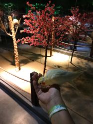 -酷嗒动物文化乐园(cutezoo西溪乐天城店)