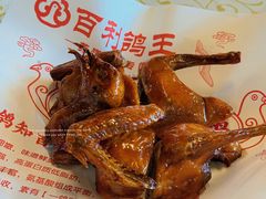 -百利鸽王(紫薇路店)