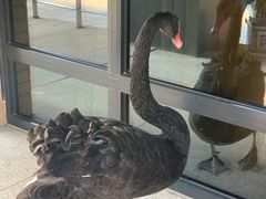 -上海怡沁园度假酒店