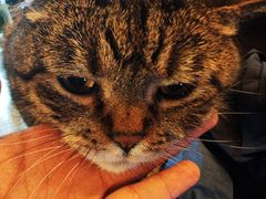 -云端咖啡私房店(河松街店)