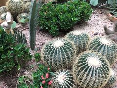 -正佳雨林生态植物园