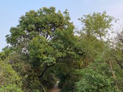 -广州市白云山风景名胜区