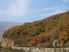 -白草畔自然风景区