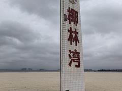 -东郊椰林
