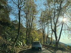 -广州市石门国家森林公园