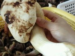-野菌皇海景野生菌火锅(滨海大道店)