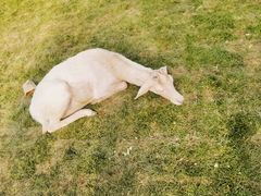 -野鸭湖国家湿地公园