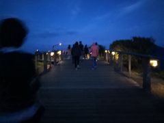 -企鹅岛