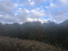 -贵阳市花溪国家城市湿地公园
