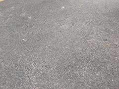 -中国邮政储蓄银行(政本路营业所)